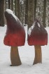 Travelnews.lv apciemo Tērvetes dabas parku ziemas apstākļos 14