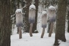 Travelnews.lv apciemo Tērvetes dabas parku ziemas apstākļos 16