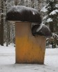 Travelnews.lv apciemo Tērvetes dabas parku ziemas apstākļos 17