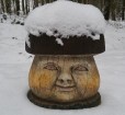 Travelnews.lv apciemo Tērvetes dabas parku ziemas apstākļos 19