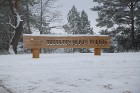 Travelnews.lv apciemo Tērvetes dabas parku ziemas apstākļos 22
