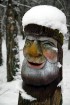 Travelnews.lv apciemo Tērvetes dabas parku ziemas apstākļos 52