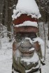 Travelnews.lv apciemo Tērvetes dabas parku ziemas apstākļos 53