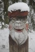 Travelnews.lv apciemo Tērvetes dabas parku ziemas apstākļos 56