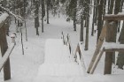 Travelnews.lv apciemo Tērvetes dabas parku ziemas apstākļos 60