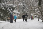 Travelnews.lv apciemo Tērvetes dabas parku ziemas apstākļos 62