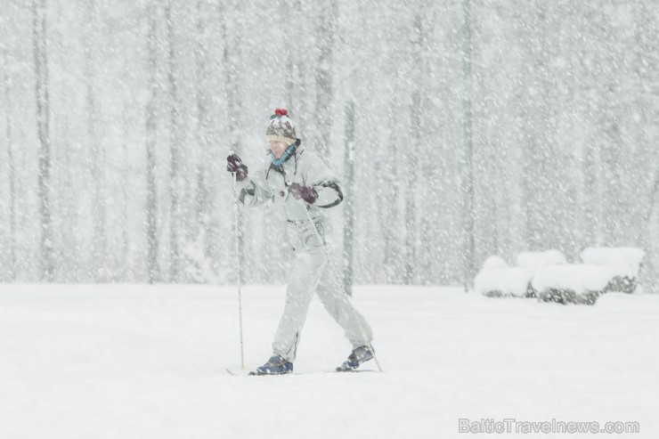 Travelnews.lv izbauda ziemas priekus Limbažu Lielezera dabas takā 167506