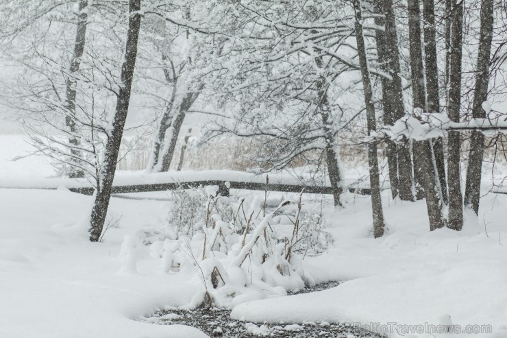 Travelnews.lv izbauda ziemas priekus Limbažu Lielezera dabas takā