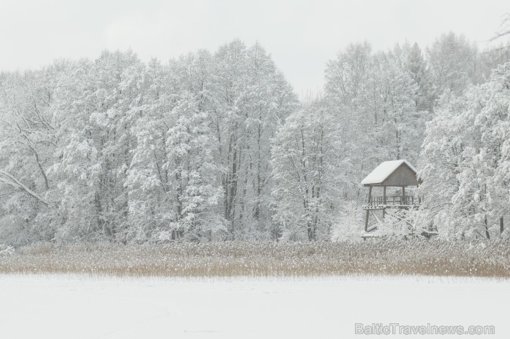 Travelnews.lv izbauda ziemas priekus Limbažu Lielezera dabas takā