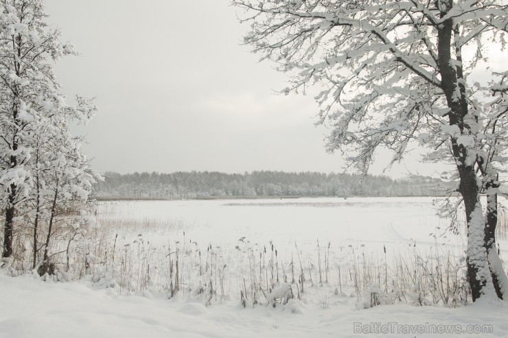 Travelnews.lv izbauda ziemas priekus Limbažu Lielezera dabas takā 167520