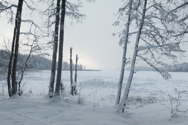 Travelnews.lv izbauda ziemas priekus Limbažu Lielezera dabas takā 167536