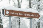 Travelnews.lv izbauda ziemas priekus Limbažu Lielezera dabas takā 2