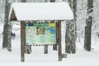 Travelnews.lv izbauda ziemas priekus Limbažu Lielezera dabas takā 40