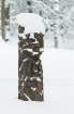 Travelnews.lv izbauda ziemas priekus Limbažu Lielezera dabas takā 6