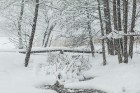 Travelnews.lv izbauda ziemas priekus Limbažu Lielezera dabas takā 9