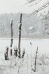 Travelnews.lv izbauda ziemas priekus Limbažu Lielezera dabas takā 13