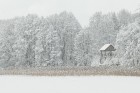Travelnews.lv izbauda ziemas priekus Limbažu Lielezera dabas takā 15