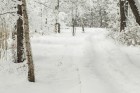 Travelnews.lv izbauda ziemas priekus Limbažu Lielezera dabas takā 16