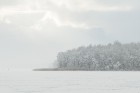 Travelnews.lv izbauda ziemas priekus Limbažu Lielezera dabas takā 17