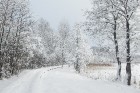 Travelnews.lv izbauda ziemas priekus Limbažu Lielezera dabas takā 19
