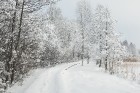 Travelnews.lv izbauda ziemas priekus Limbažu Lielezera dabas takā 20