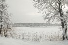 Travelnews.lv izbauda ziemas priekus Limbažu Lielezera dabas takā 21