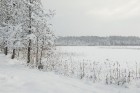 Travelnews.lv izbauda ziemas priekus Limbažu Lielezera dabas takā 22