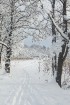 Travelnews.lv izbauda ziemas priekus Limbažu Lielezera dabas takā 24