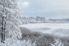 Travelnews.lv izbauda ziemas priekus Limbažu Lielezera dabas takā 27