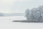 Travelnews.lv izbauda ziemas priekus Limbažu Lielezera dabas takā 28