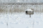 Travelnews.lv izbauda ziemas priekus Limbažu Lielezera dabas takā 31