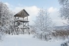 Travelnews.lv izbauda ziemas priekus Limbažu Lielezera dabas takā 32