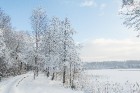 Travelnews.lv izbauda ziemas priekus Limbažu Lielezera dabas takā 33