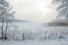 Travelnews.lv izbauda ziemas priekus Limbažu Lielezera dabas takā 34