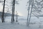 Travelnews.lv izbauda ziemas priekus Limbažu Lielezera dabas takā 35