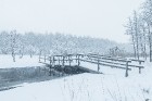 Travelnews.lv izbauda ziemas priekus Limbažu Lielezera dabas takā 36