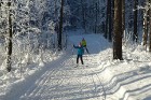 Zilo kalnu distanču slēpošanas trase, Ogres un Ikšķiles tuvumā, pulcē daudzus slēpošanas entuziastus, sportistus un dabas mīļotājus 1
