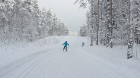 Zilo kalnu distanču slēpošanas trase, Ogres un Ikšķiles tuvumā, pulcē daudzus slēpošanas entuziastus, sportistus un dabas mīļotājus 2