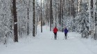 Zilo kalnu distanču slēpošanas trase, Ogres un Ikšķiles tuvumā, pulcē daudzus slēpošanas entuziastus, sportistus un dabas mīļotājus 9