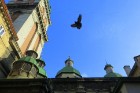 Ļvova -  Ukrainas pilsēta, kurā satiekas austrumu, rietumu kultūra un tautas māksla 36