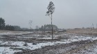 Ziema nevēlās martā piekāpties pavasarim Latgalē, tāpēc sniegs un sals vēl joprojām piesaka savas tiesības 6