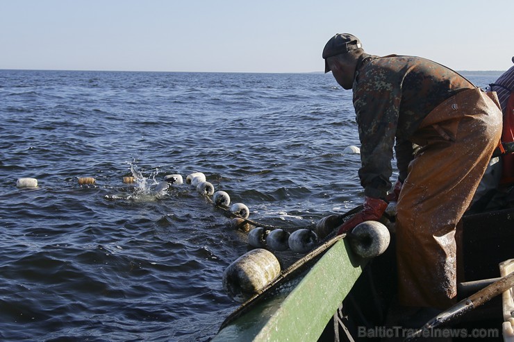 Travelnews.lv kopā ar zvejniekiem dodas reņģu zvejā 175177