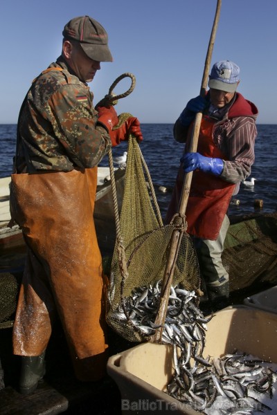 Travelnews.lv kopā ar zvejniekiem dodas reņģu zvejā 175188