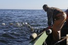 Travelnews.lv kopā ar zvejniekiem dodas reņģu zvejā 7