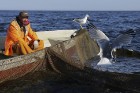 Travelnews.lv kopā ar zvejniekiem dodas reņģu zvejā 17