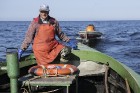 Travelnews.lv kopā ar zvejniekiem dodas reņģu zvejā 27