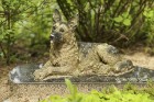Travelnews.lv ielūkojas dzīvnieku kapsētā Cēsīs 9
