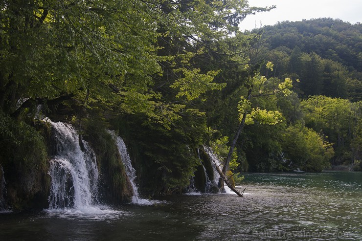 Travelnews.lv sadarbībā ar tūroperatoru Novatours apskata Plitvices ezerus, kas ir pirmais un lielākais Horvātijas nacionālais parks 176914