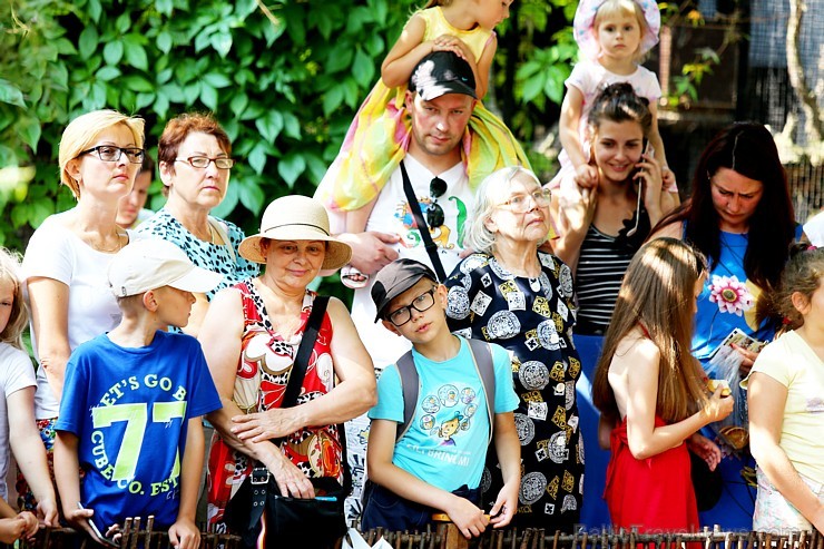 Rīgas zoodārzā jau sešpadsmito reizi norisinājās ikgadējais Galapagu bruņrupuču svēršanas pasākums 180354