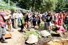 Rīgas zoodārzā jau sešpadsmito reizi norisinājās ikgadējais Galapagu bruņrupuču svēršanas pasākums 20
